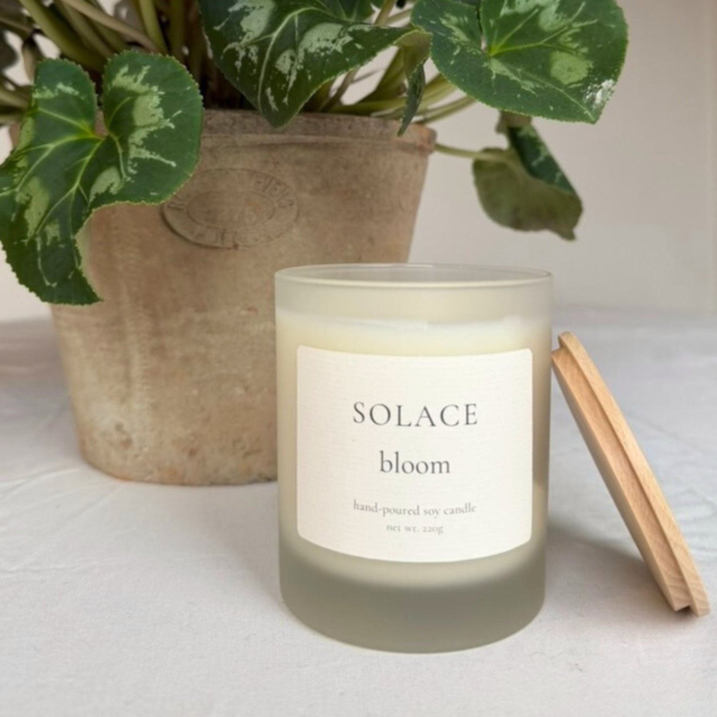 SOLACE- Bloom