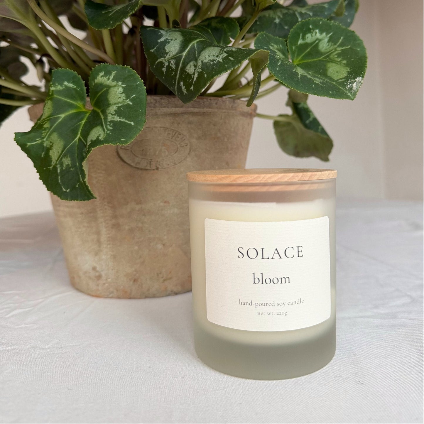 SOLACE- Bloom